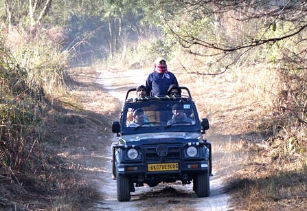 Dhela Jeep Safari Zone