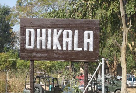 Dhikala Canter Safari Zone